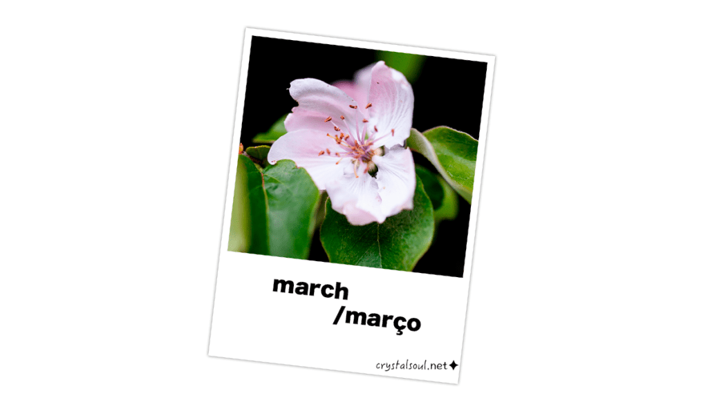 march : março